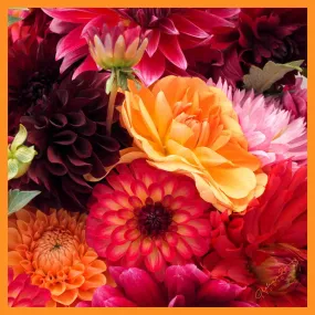 Clelia & Romy Studio Pink/orange large flowers  CM542-1 90cm