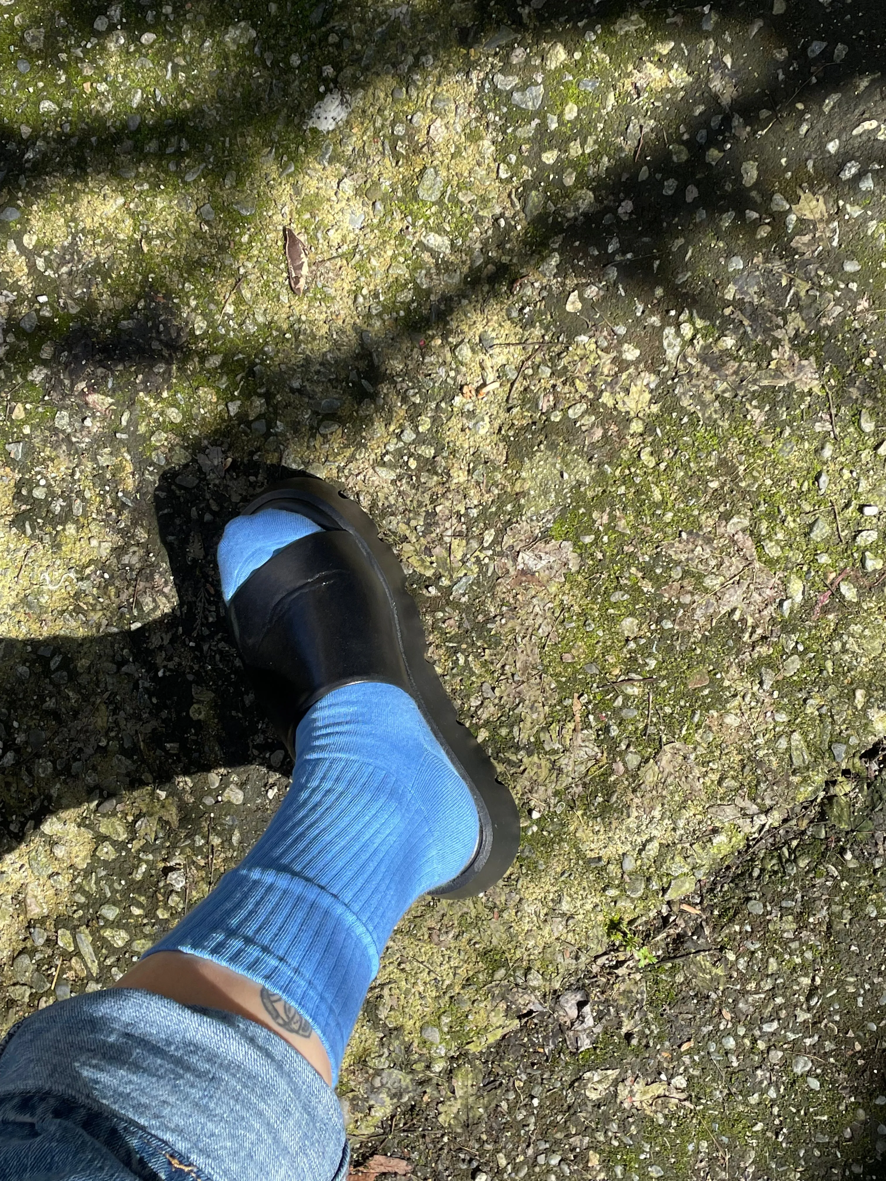 Colorful Standard Organic Active Sock