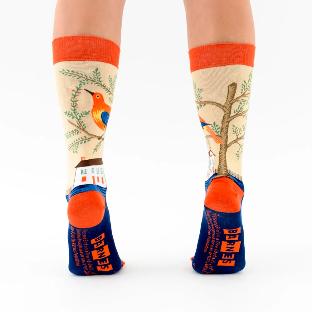 "House and Bird" socks