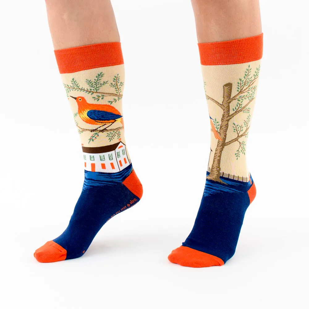 "House and Bird" socks